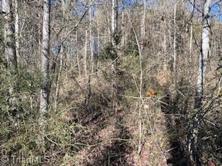 Lot 10 Woodruff Road, Jonesville, North Carolina image 4