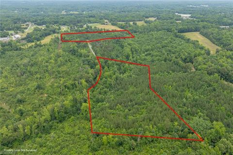 Photo of 0 Pilgrims Trail, Thomasville, NC 27360 (MLS # 1198817)