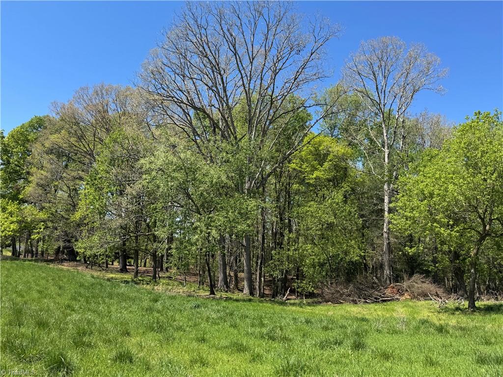 00 Ruritan Road, Roaring River, North Carolina image 19