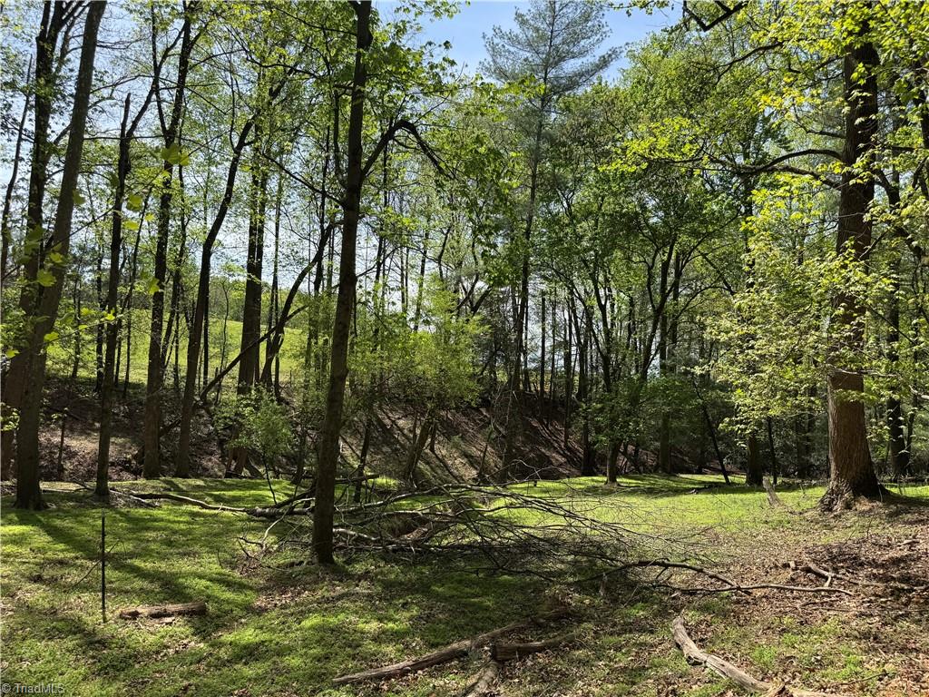00 Ruritan Road, Roaring River, North Carolina image 31