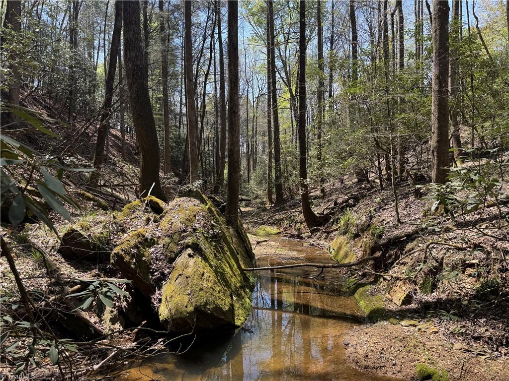 00 Ruritan Road, Roaring River, North Carolina image 25