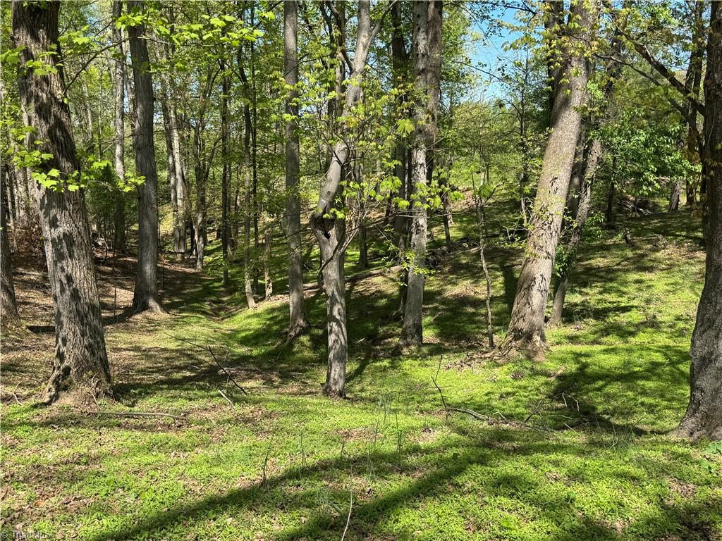 00 Ruritan Road, Roaring River, North Carolina image 21