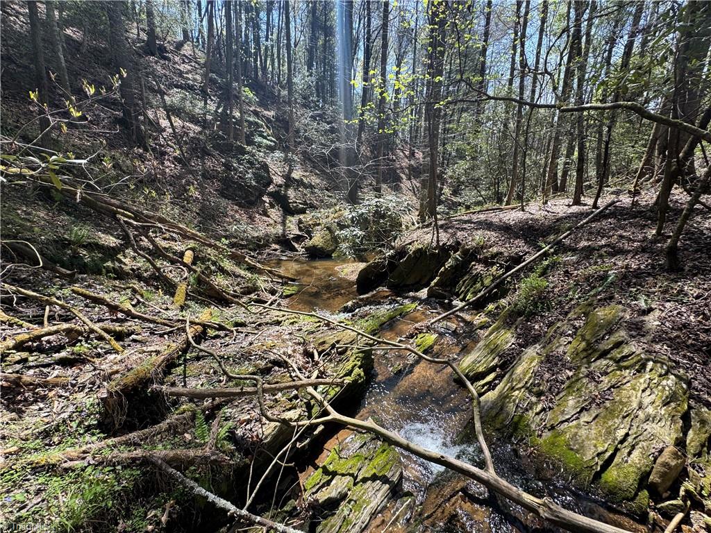 00 Ruritan Road, Roaring River, North Carolina image 2