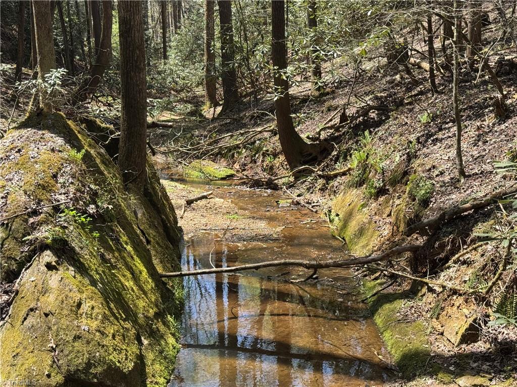 00 Ruritan Road, Roaring River, North Carolina image 28