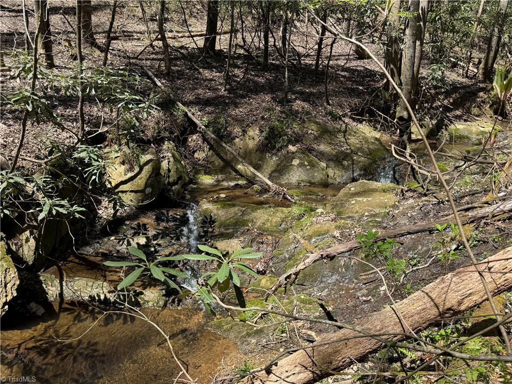 00 Ruritan Road, Roaring River, North Carolina image 27