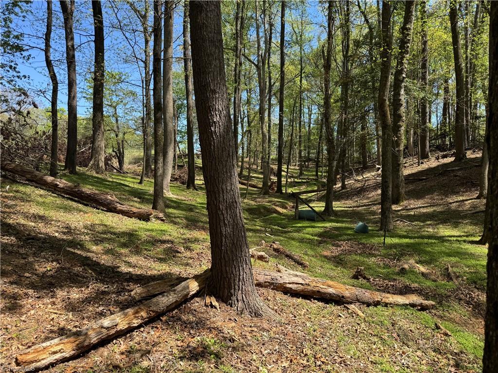 00 Ruritan Road, Roaring River, North Carolina image 33