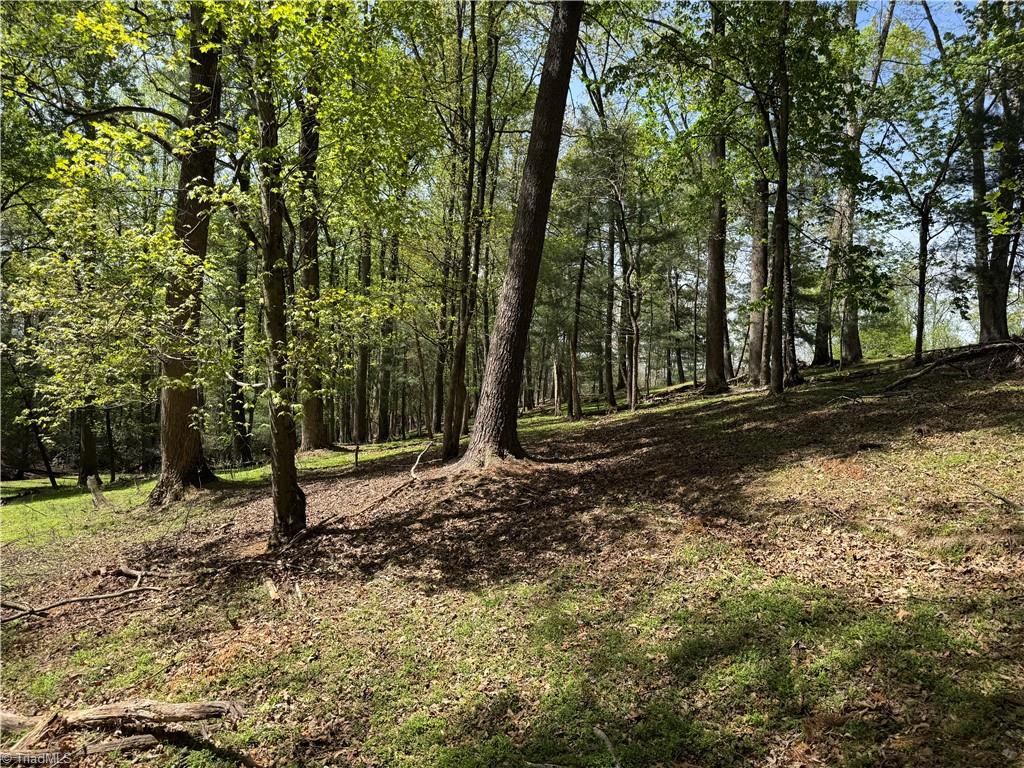00 Ruritan Road, Roaring River, North Carolina image 32