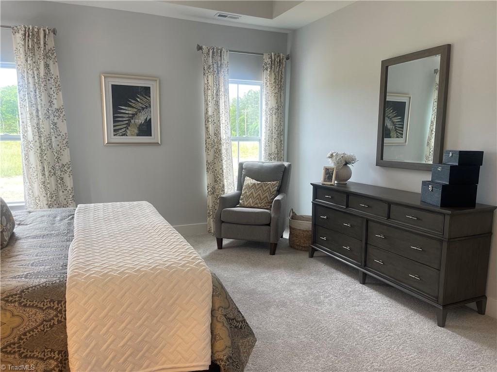 213 Cason Drive, Gibsonville, North Carolina image 16