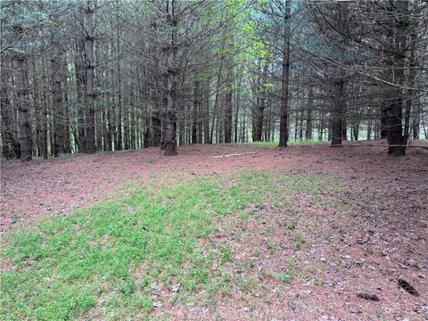 Vacant Land For Sale - X Green Meadow Lane #5 AC S<br/> Ararat, NC 27007
