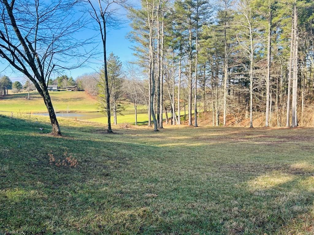 TBD Manor House Drive, Laurel Fork, Virginia image 13