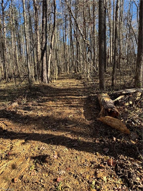 Tract B Robbins Country Road, Trinity, North Carolina image 8