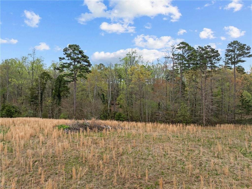 4728 Sandy Camp Road, High Point, North Carolina image 7