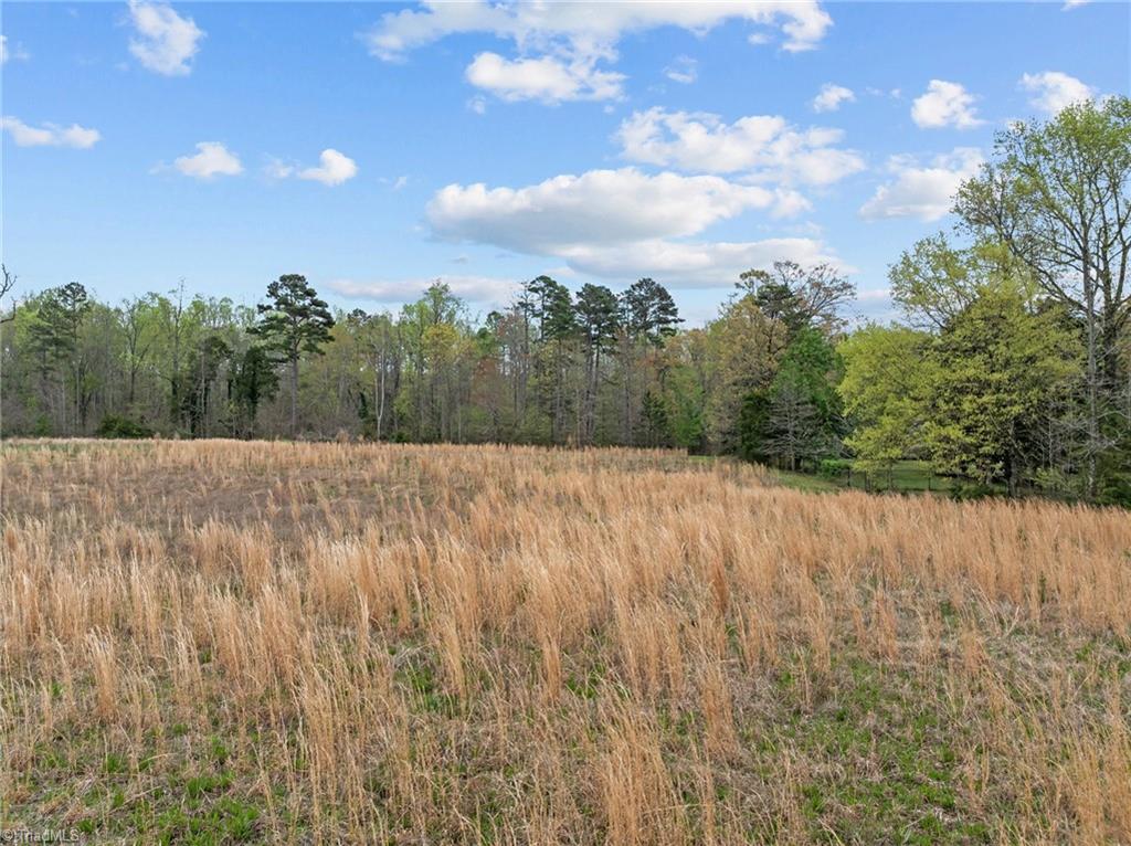 4728 Sandy Camp Road, High Point, North Carolina image 6