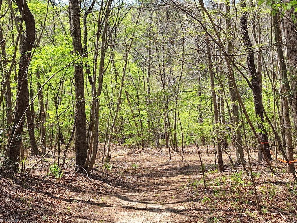 Abner Lane, Mount Airy, North Carolina image 4