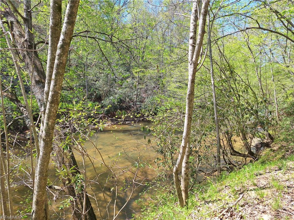 Abner Lane, Mount Airy, North Carolina image 11