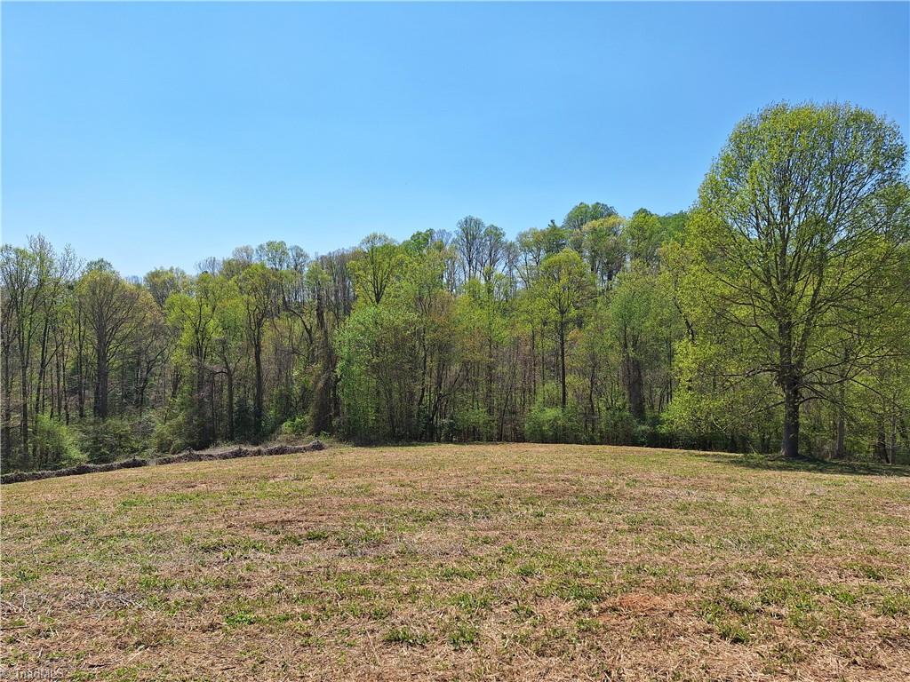 Abner Lane, Mount Airy, North Carolina image 28