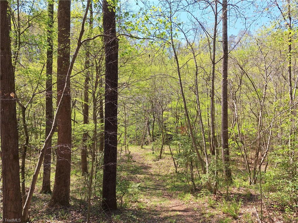 Abner Lane, Mount Airy, North Carolina image 17