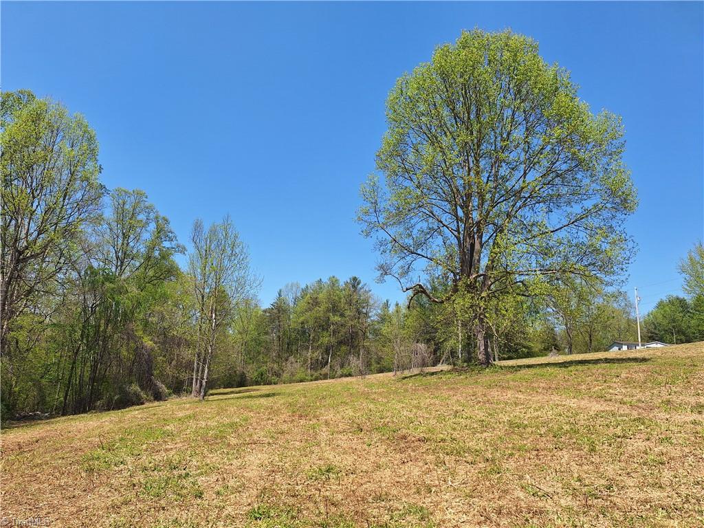 Abner Lane, Mount Airy, North Carolina image 22