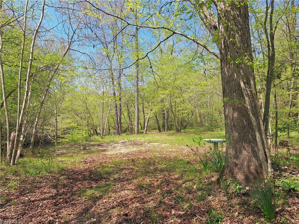 Abner Lane, Mount Airy, North Carolina image 9