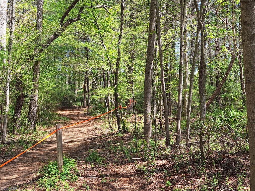 Abner Lane, Mount Airy, North Carolina image 23