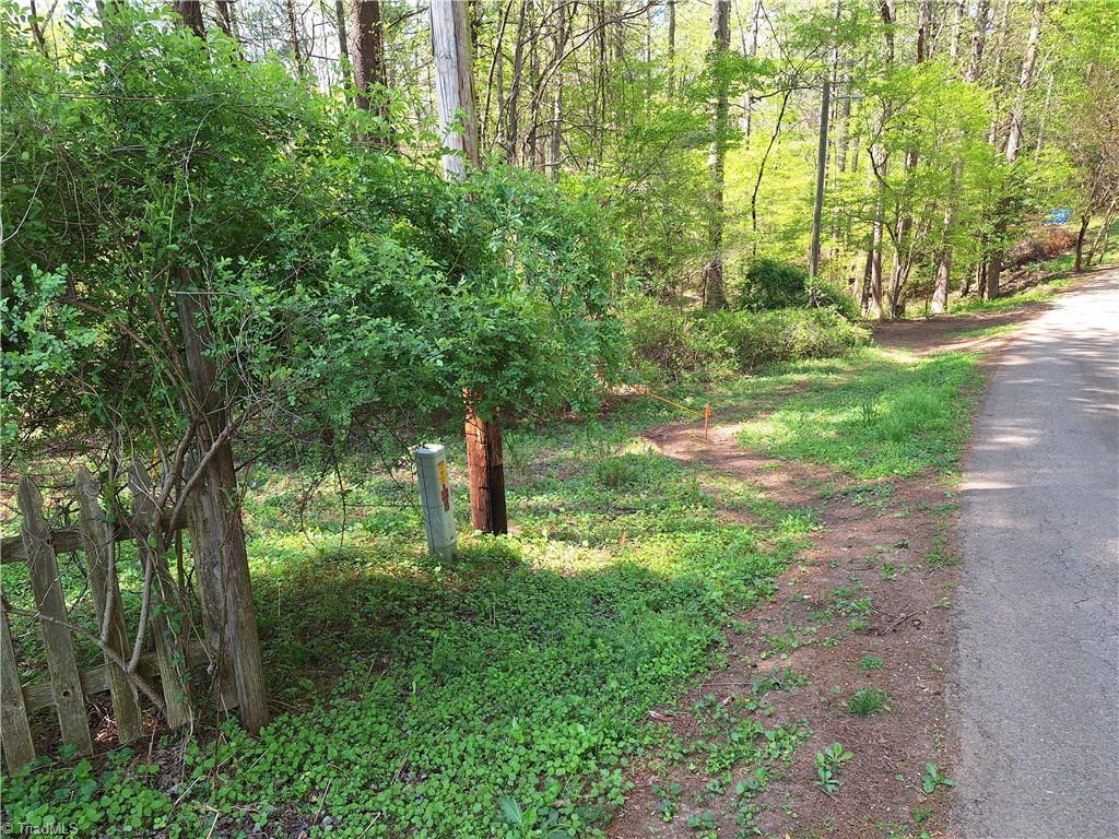 Abner Lane, Mount Airy, North Carolina image 5