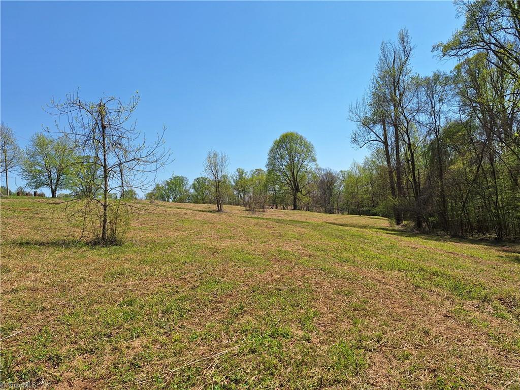 Abner Lane, Mount Airy, North Carolina image 18