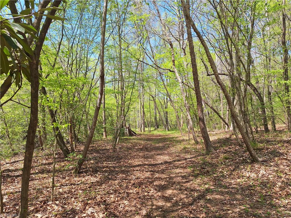 Abner Lane, Mount Airy, North Carolina image 8