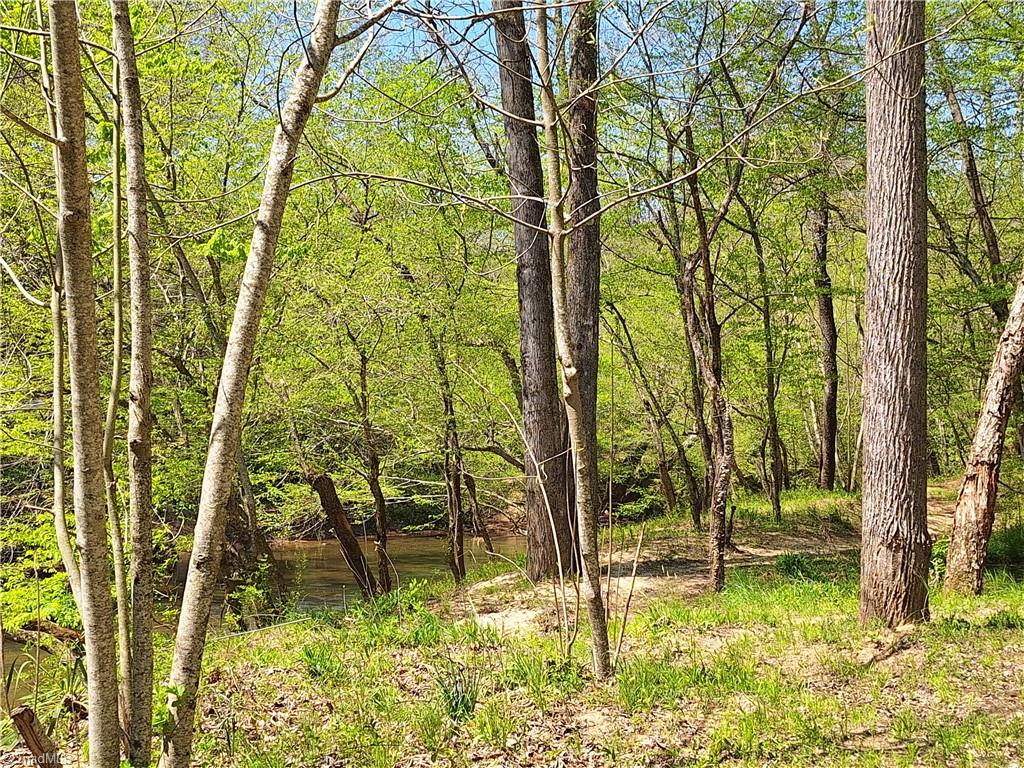 Abner Lane, Mount Airy, North Carolina image 1