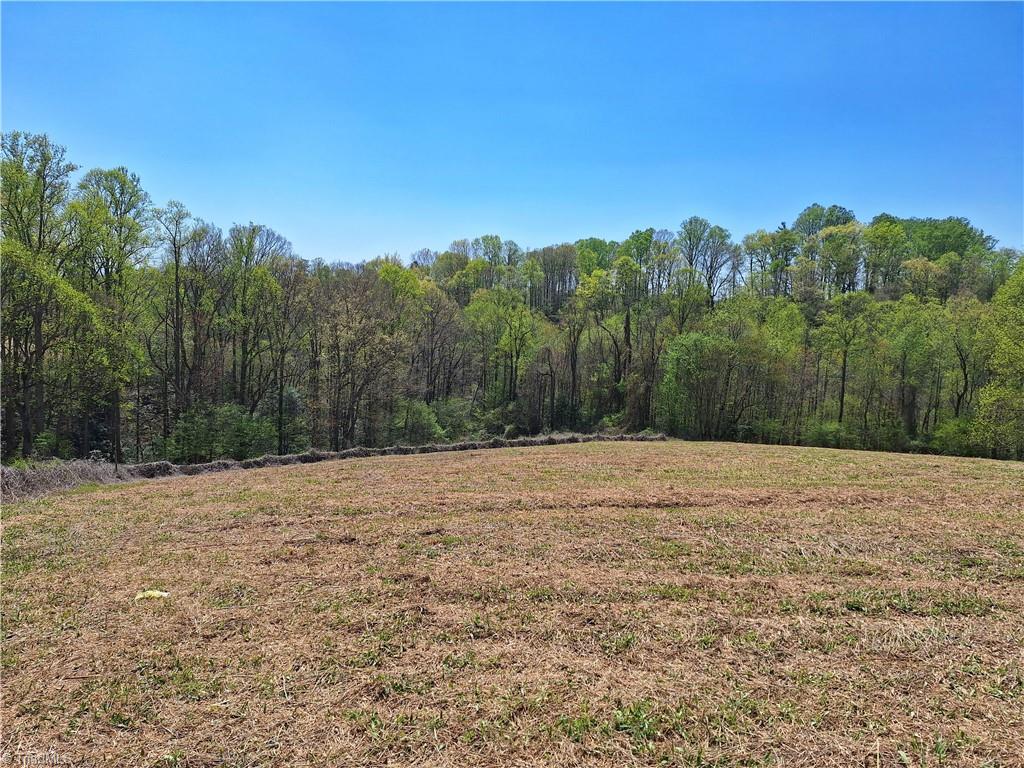 Abner Lane, Mount Airy, North Carolina image 2