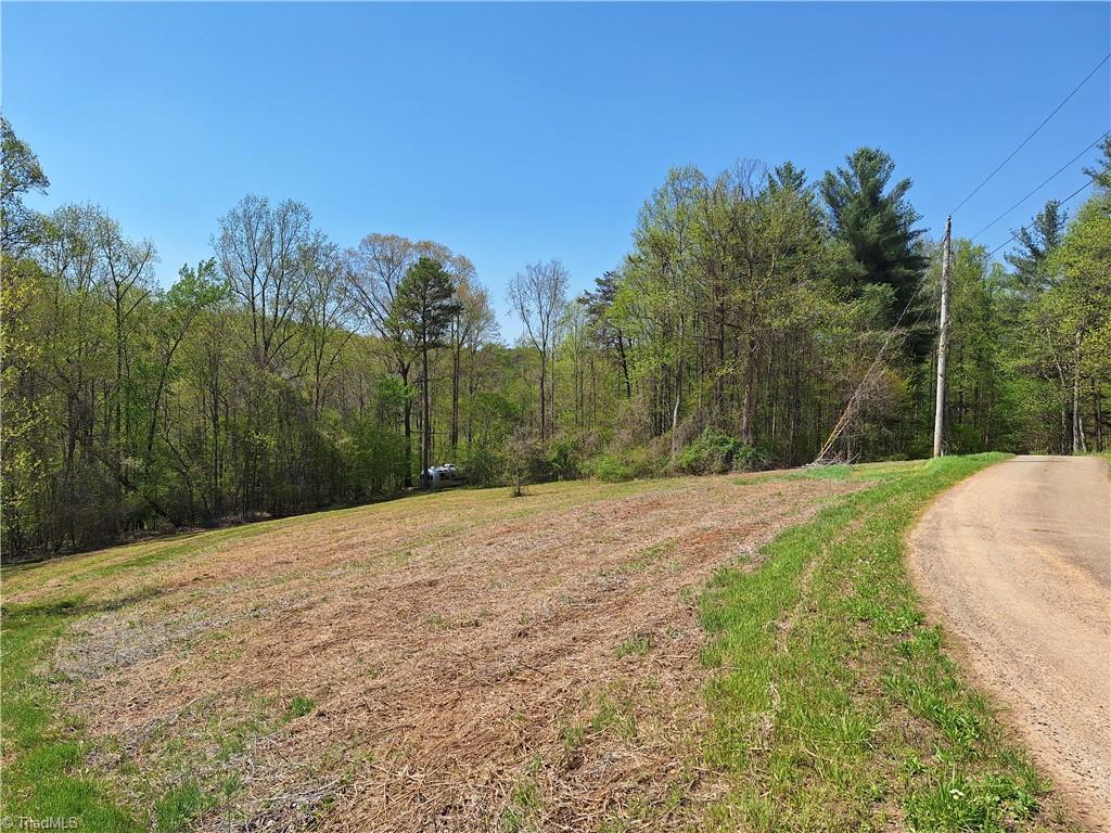 Abner Lane, Mount Airy, North Carolina image 10