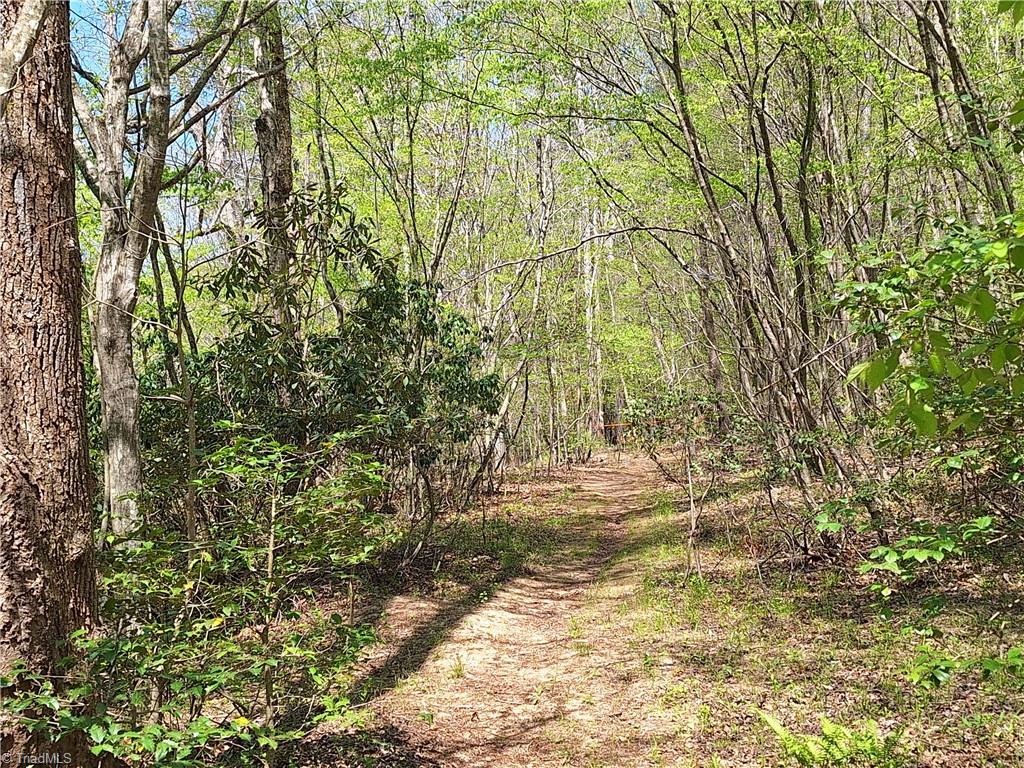 Abner Lane, Mount Airy, North Carolina image 14