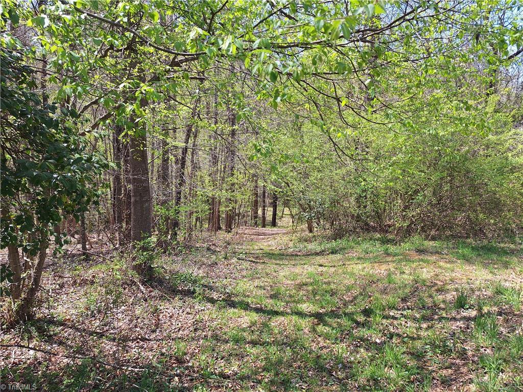 Abner Lane, Mount Airy, North Carolina image 7