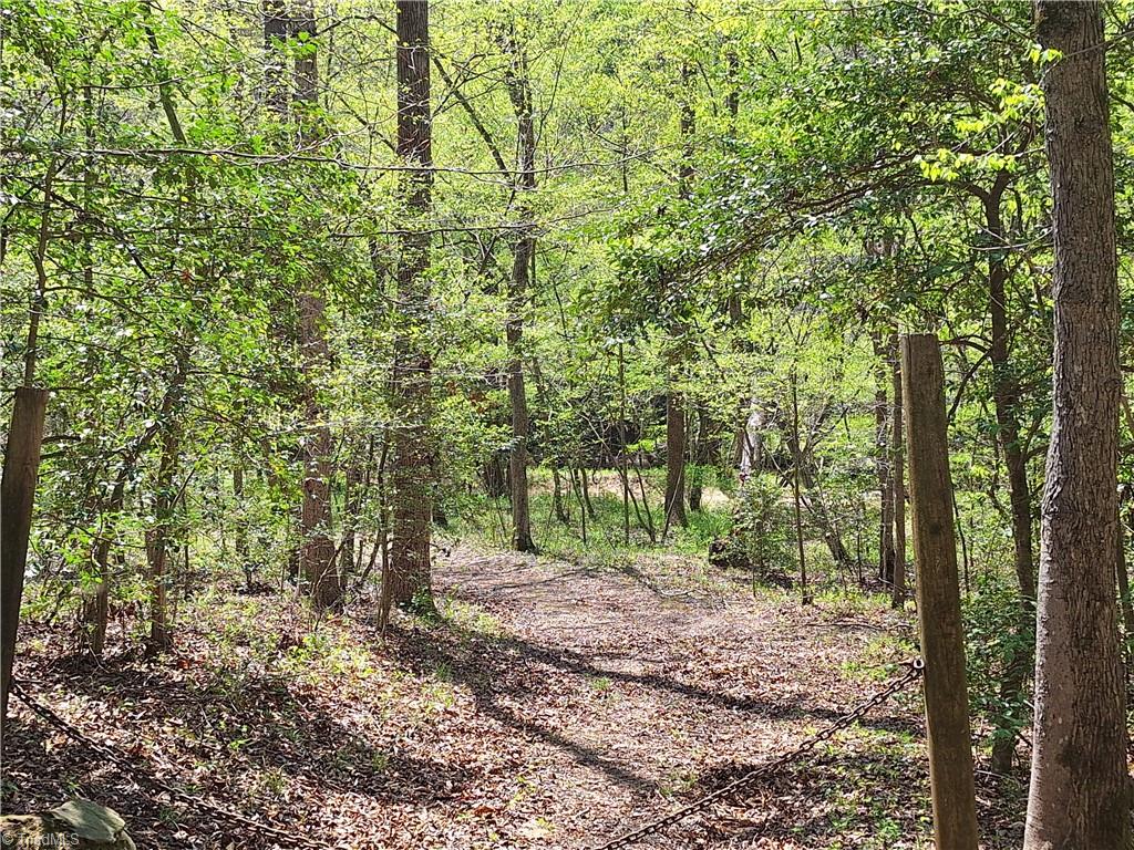 Abner Lane, Mount Airy, North Carolina image 15