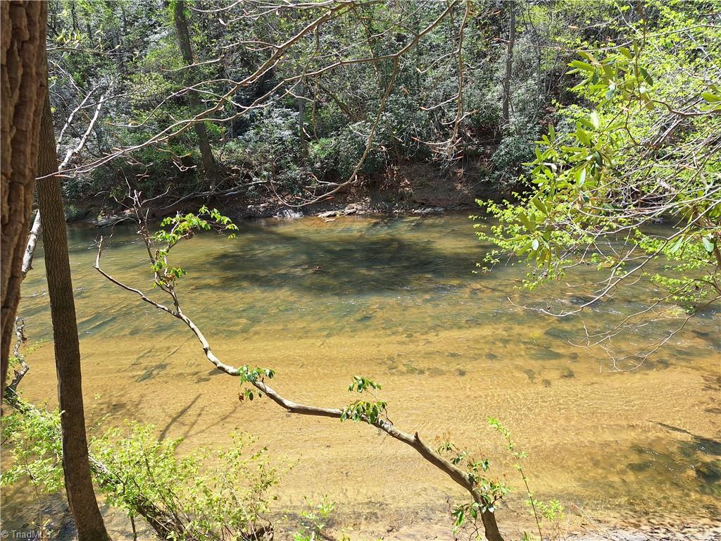 Abner Lane, Mount Airy, North Carolina image 12