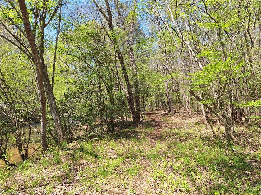 Abner Lane, Mount Airy, North Carolina image 3