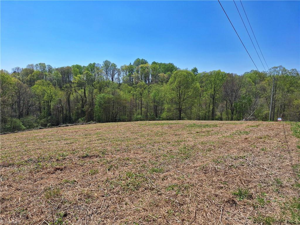 Abner Lane, Mount Airy, North Carolina image 27