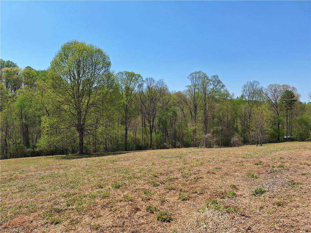 Abner Lane, Mount Airy, North Carolina image 6