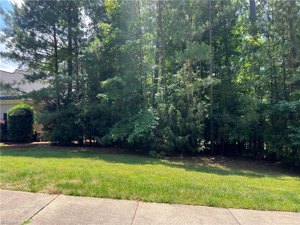 221 Mountain Laurel, Chapel Hill, North Carolina image 1