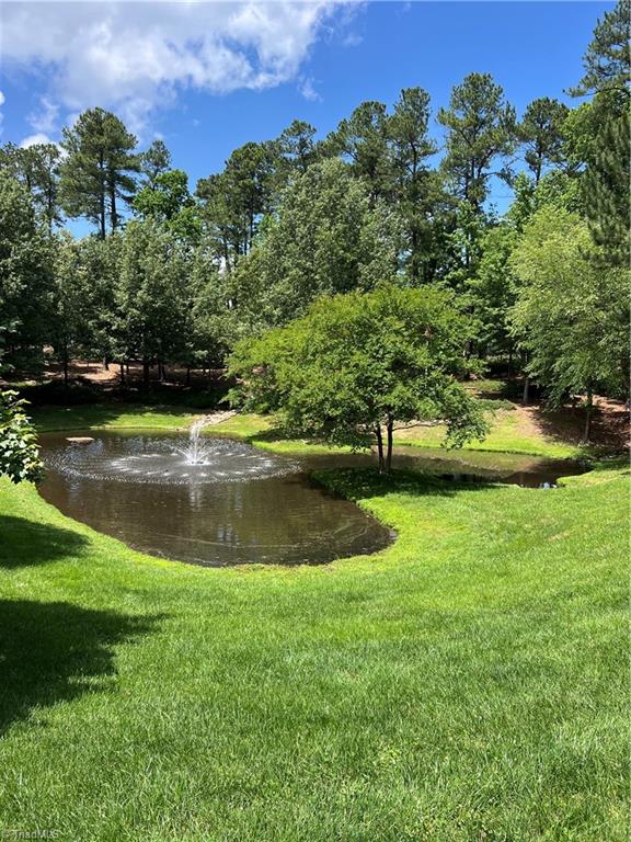 221 Mountain Laurel, Chapel Hill, North Carolina image 7
