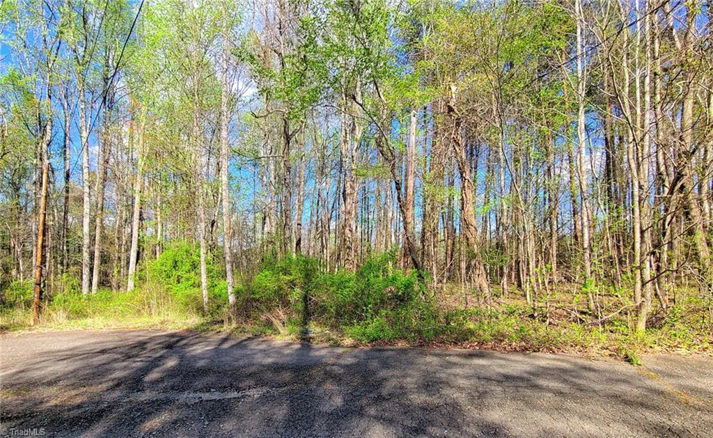 5091 Donna Marie Court, Walkertown, North Carolina image 1