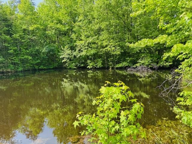 526 Bob Rainey Trail, Burlington, North Carolina image 37