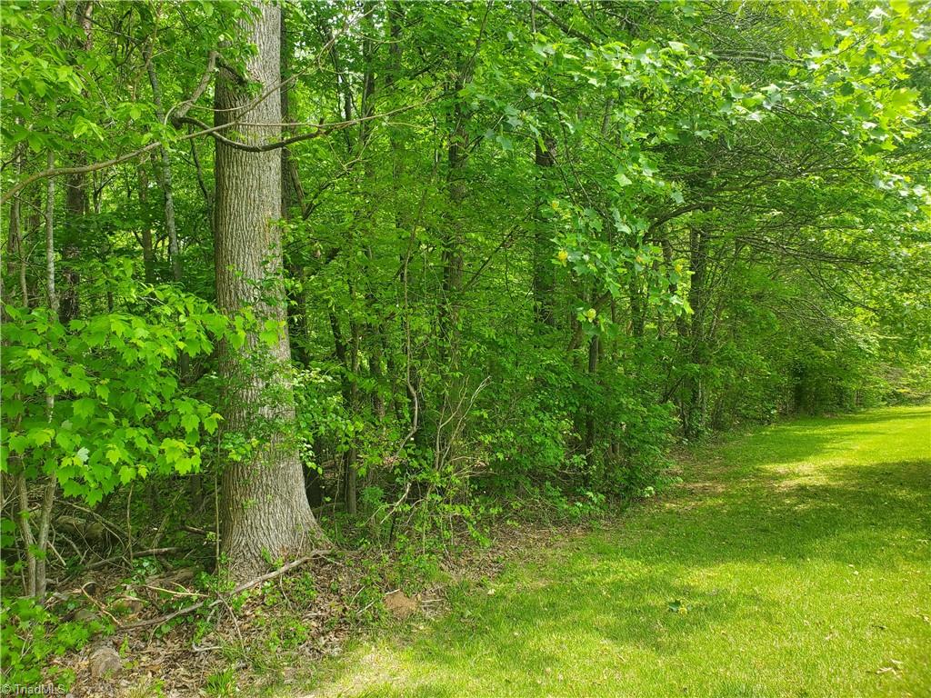 Mulberry Academy Street, Franklinville, North Carolina image 17