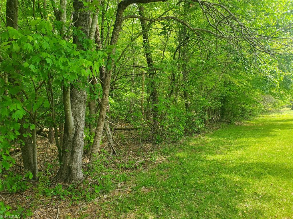 Mulberry Academy Street, Franklinville, North Carolina image 16