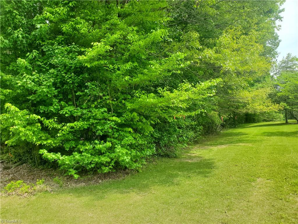 Mulberry Academy Street, Franklinville, North Carolina image 18