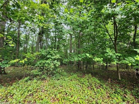 Vacant Land For Sale - 2874 Sierra Trace Road<br/> Denton, NC 27239