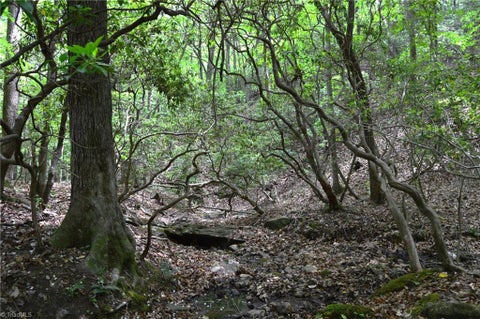 Vacant Land For Sale - 00 Hilltop View Lane<br/> Germanton, NC 27019