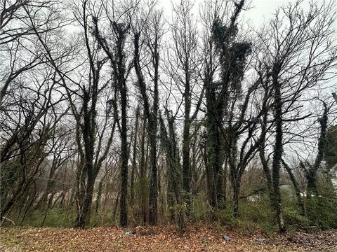 Vacant Land For Sale - 00 Short Morgan Street<br/> Eden, NC 27288