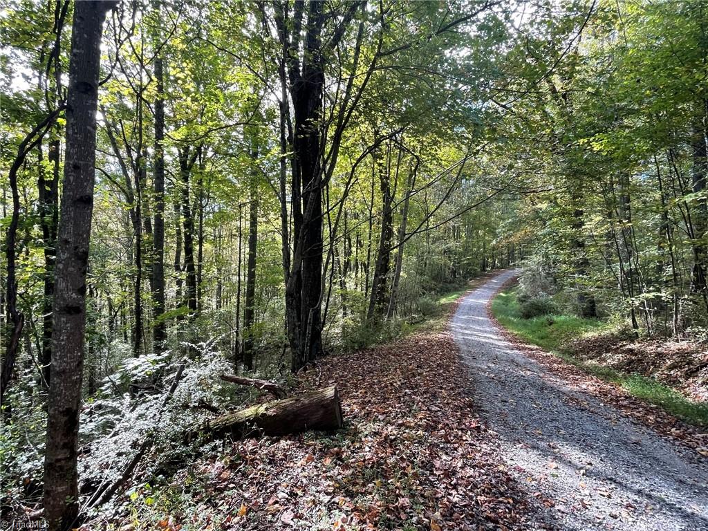 TBD Happy Land Road, Piney Creek, North Carolina image 1