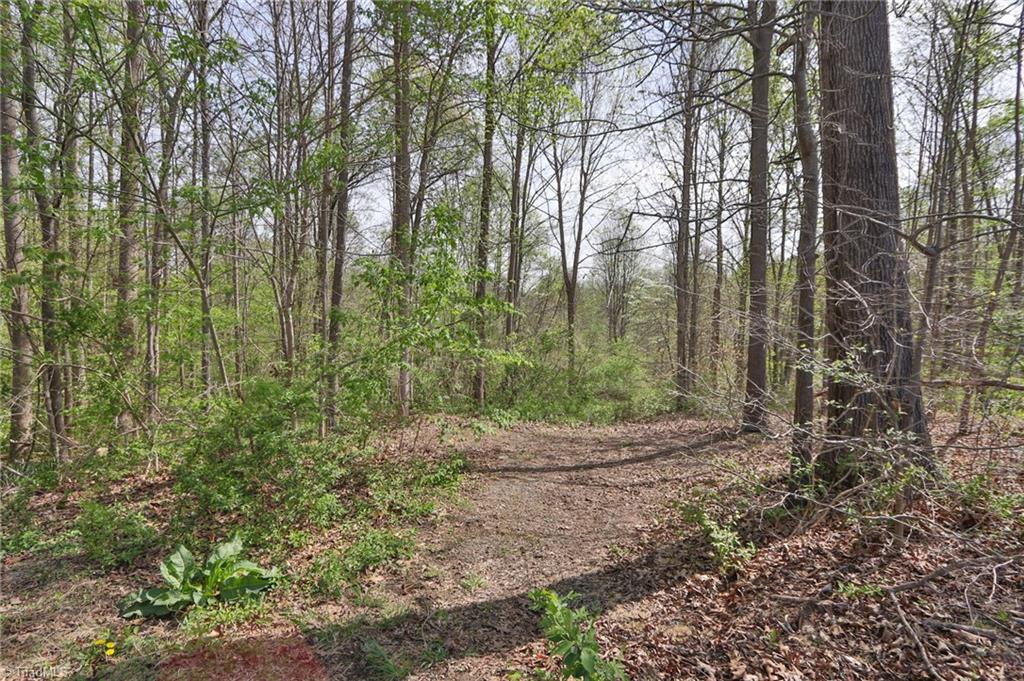 1636 Fred Hinshaw Road, Yadkinville, North Carolina image 13