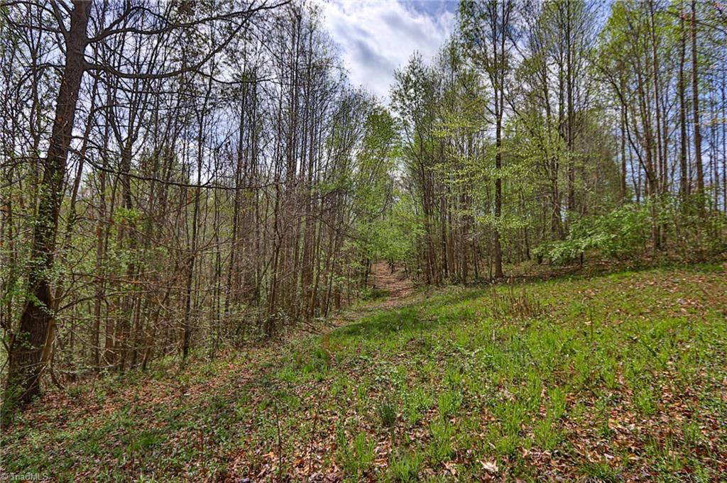 1636 Fred Hinshaw Road, Yadkinville, North Carolina image 7